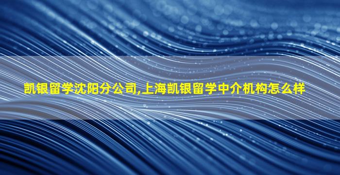 凯银留学沈阳分公司,上海凯银留学中介机构怎么样