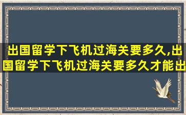 出国留学下飞机过海关要多久,出国留学下飞机过海关要多久才能出境