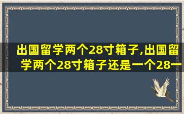 出国留学两个28寸箱子,出国留学两个28寸箱子还是一个28一个26f