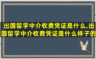 出国留学中介收费凭证是什么,出国留学中介收费凭证是什么样子的