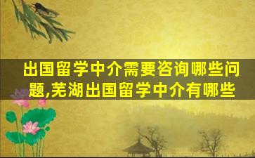 出国留学中介需要咨询哪些问题,芜湖出国留学中介有哪些