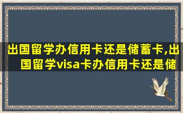 出国留学办信用卡还是储蓄卡,出国留学visa卡办信用卡还是储蓄卡