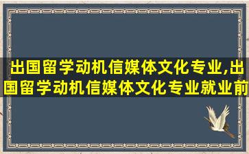 出国留学动机信媒体文化专业,出国留学动机信媒体文化专业就业前景