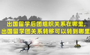 出国留学后团组织关系在哪里,出国留学团关系转移可以转到哪里