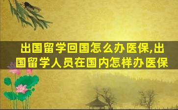 出国留学回国怎么办医保,出国留学人员在国内怎样办医保