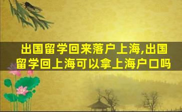 出国留学回来落户上海,出国留学回上海可以拿上海户口吗