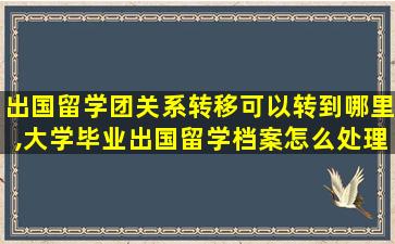 出国留学团关系转移可以转到哪里,大学毕业出国留学档案怎么处理