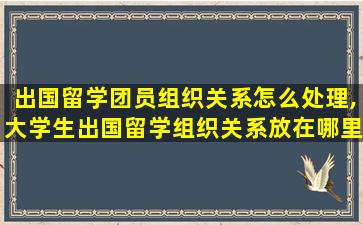 出国留学团员组织关系怎么处理,大学生出国留学组织关系放在哪里