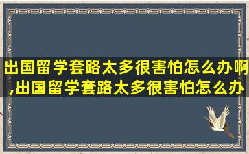 出国留学套路太多很害怕怎么办啊,出国留学套路太多很害怕怎么办啊知乎