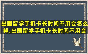 出国留学手机卡长时间不用会怎么样,出国留学手机卡长时间不用会怎么样吗