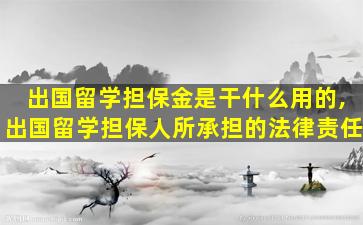 出国留学担保金是干什么用的,出国留学担保人所承担的法律责任