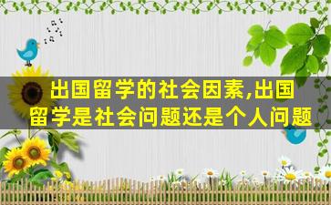 出国留学的社会因素,出国留学是社会问题还是个人问题