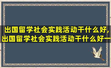 出国留学社会实践活动干什么好,出国留学社会实践活动干什么好一点