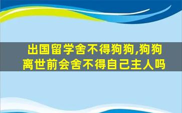 出国留学舍不得狗狗,狗狗离世前会舍不得自己主人吗