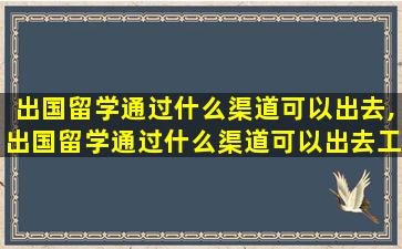 出国留学通过什么渠道可以出去,出国留学通过什么渠道可以出去工作