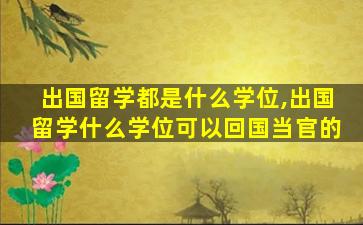 出国留学都是什么学位,出国留学什么学位可以回国当官的