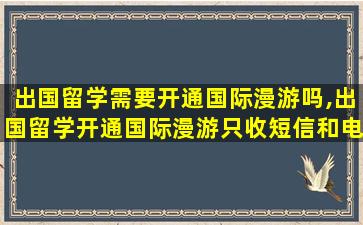 出国留学需要开通国际漫游吗,出国留学开通国际漫游只收短信和电话