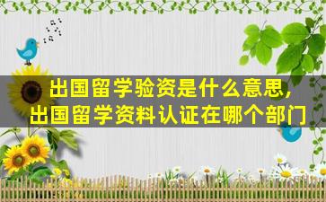 出国留学验资是什么意思,出国留学资料认证在哪个部门