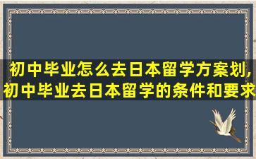 初中毕业怎么去日本留学方案划,初中毕业去日本留学的条件和要求