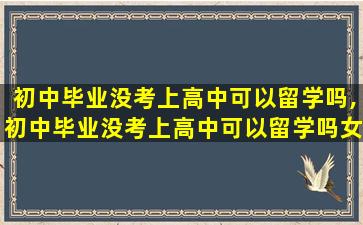 初中毕业没考上高中可以留学吗,初中毕业没考上高中可以留学吗女生