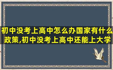 初中没考上高中怎么办国家有什么政策,初中没考上高中还能上大学吗