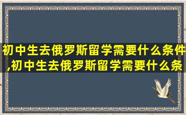 初中生去俄罗斯留学需要什么条件,初中生去俄罗斯留学需要什么条件呢