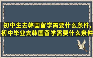 初中生去韩国留学需要什么条件,初中毕业去韩国留学需要什么条件