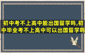 初中考不上高中能出国留学吗,初中毕业考不上高中可以出国留学吗