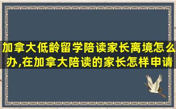 加拿大低龄留学陪读家长离境怎么办,在加拿大陪读的家长怎样申请留学*