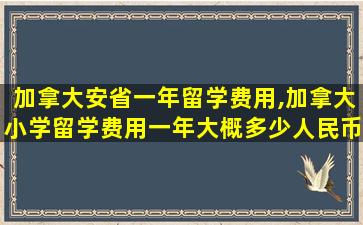 加拿大安省一年留学费用,加拿大小学留学费用一年大概多少人民币