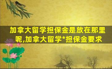 加拿大留学担保金是放在那里呢,加拿大留学*
担保金要求