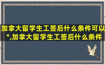 加拿大留学生工签后什么条件可以*
,加拿大留学生工签后什么条件可以*
美国