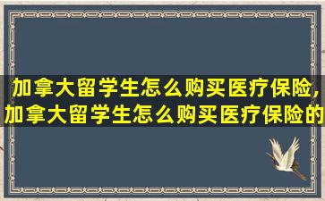 加拿大留学生怎么购买医疗保险,加拿大留学生怎么购买医疗保险的