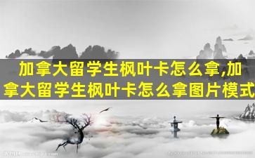 加拿大留学生枫叶卡怎么拿,加拿大留学生枫叶卡怎么拿图片模式