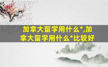 加拿大留学用什么*
,加拿大留学用什么*
比较好