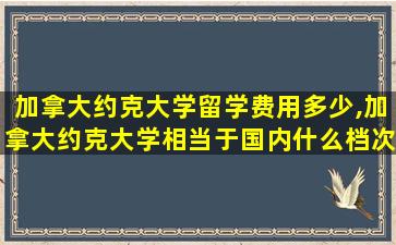 加拿大约克大学留学费用多少,加拿大约克大学相当于国内什么档次的学校