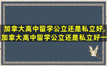 加拿大高中留学公立还是私立好,加拿大高中留学公立还是私立好一点