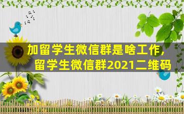 加留学生微信群是啥工作,留学生微信群2021二维码