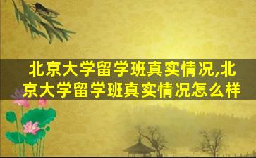 北京大学留学班真实情况,北京大学留学班真实情况怎么样