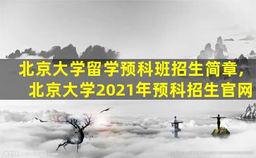 北京大学留学预科班招生简章,北京大学2021年预科招生官网