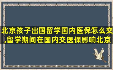 北京孩子出国留学国内医保怎么交,留学期间在国内交医保影响北京落户