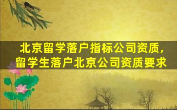 北京留学落户指标公司资质,留学生落户北京公司资质要求