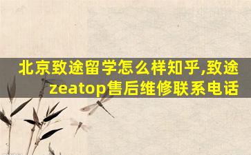 北京致途留学怎么样知乎,致途zeatop售后维修联系电话