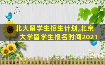 北大留学生招生计划,北京大学留学生报名时间2021