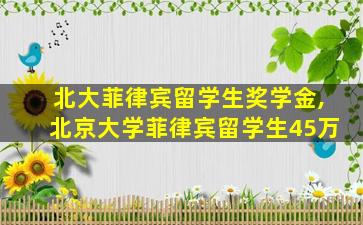 北大菲律宾留学生奖学金,北京大学菲律宾留学生45万