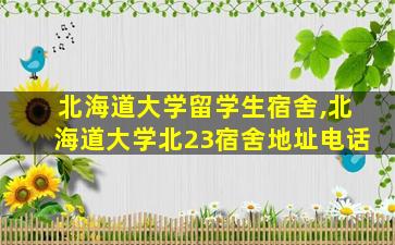 北海道大学留学生宿舍,北海道大学北23宿舍地址电话