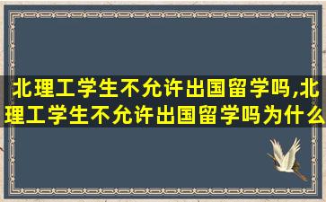 北理工学生不允许出国留学吗,北理工学生不允许出国留学吗为什么