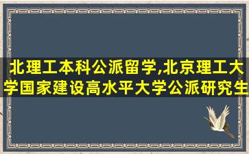 北理工本科公派留学,北京理工大学国家建设高水平大学公派研究生