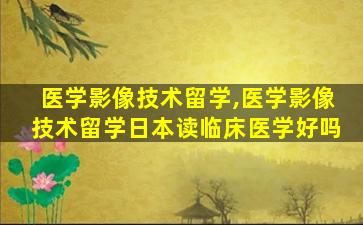 医学影像技术留学,医学影像技术留学日本读临床医学好吗