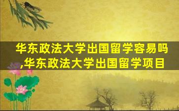 华东政法大学出国留学容易吗,华东政法大学出国留学项目